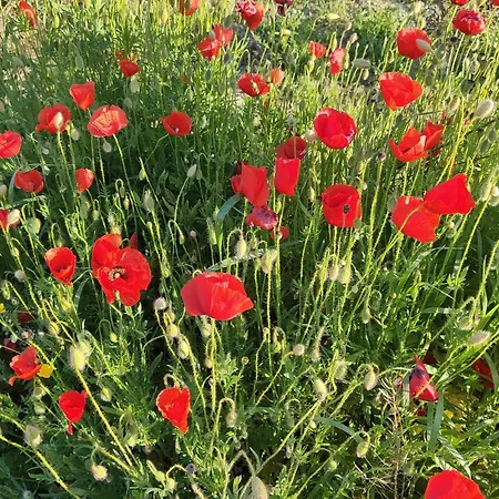 Appartement La Nostra Casetta