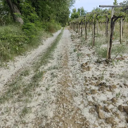 La Nostra Casetta * Miglianico