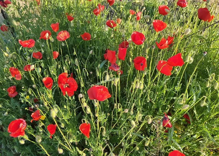Appartement La Nostra Casetta