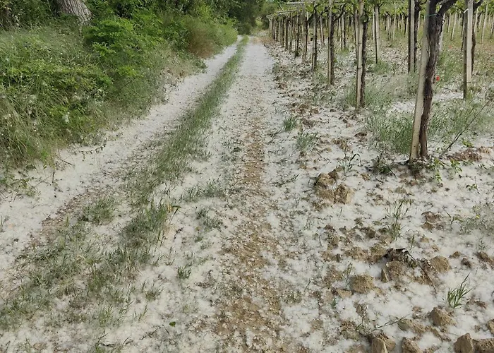 La Nostra Casetta * Miglianico